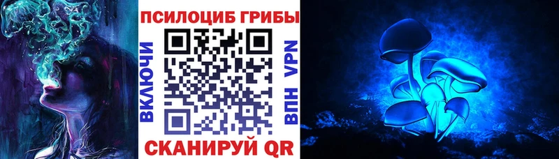 Псилоцибиновые грибы Psilocybine cubensis Купить Иланский